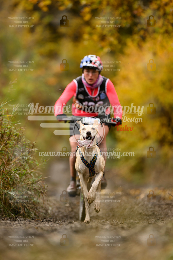 MompixPhotography_ICF_WC_2024_SA_Bike_-136 | PayLife