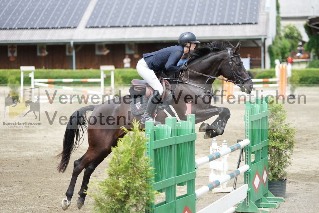 DSC05195 | equestrian-live-com