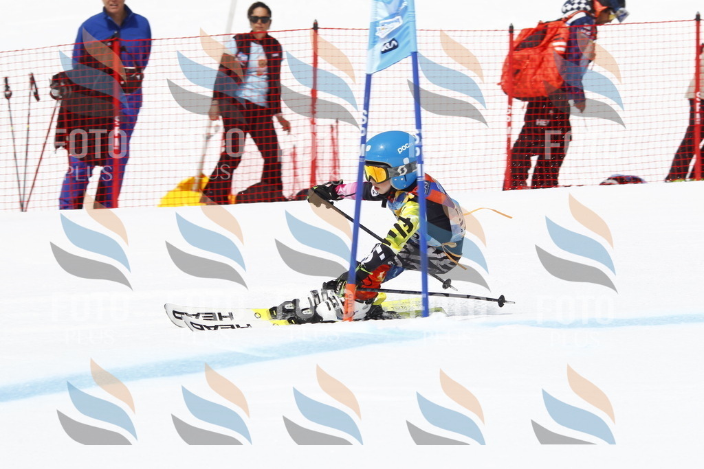 _U3G5584 | holidayphoto