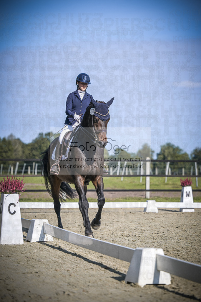 DOS_2782 | Entdecke hochwertige Reitturnierfotos von Foto Oger. Professionell, emotional und authentisch – jetzt Lieblingsmomente im Shop bestellen.Deutschlandweite Turnierfotografie. - Realisiert mit Pictrs.com