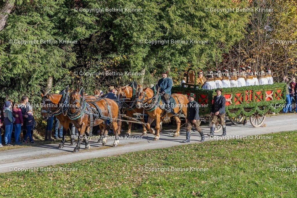 LBT25-773 | foto-bettina-krinner - Realisiert mit Pictrs.com