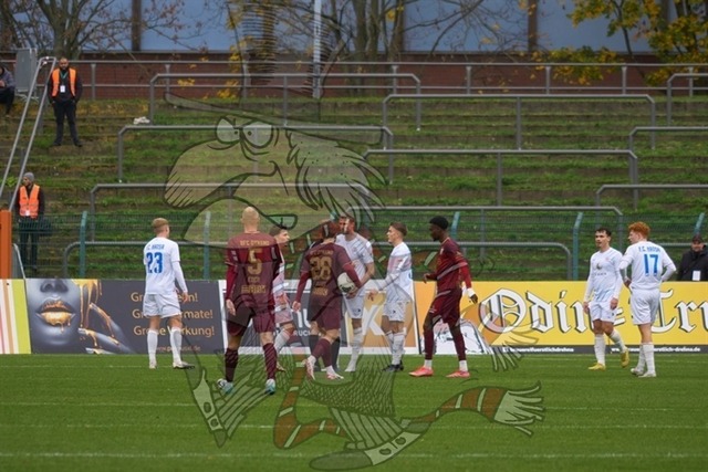 BFC Dynamo vs. F.C. Hansa Rostock II 019 | mythos-online-redaktion