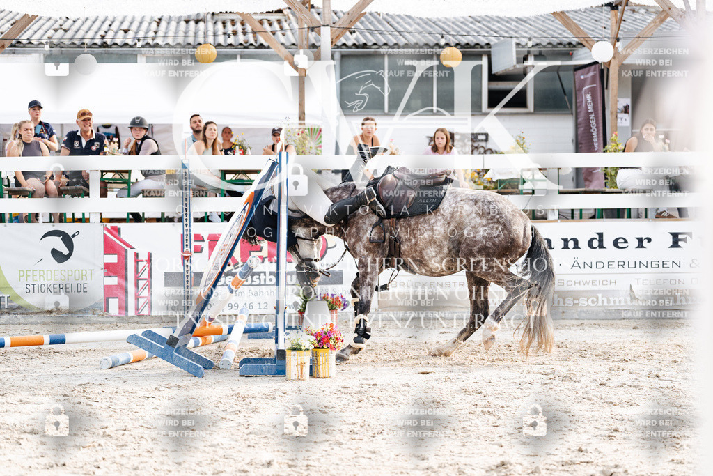 CK907043 | Turnierfotografie Pferdefotografie Trier Rheinland-Pfalz Pferdesport Reitsport Tierfotografie Sportfotografie Pferdevideo Pferdevideografie Equestrianvideography equestrianphotography  - Realisiert mit Pictrs.com