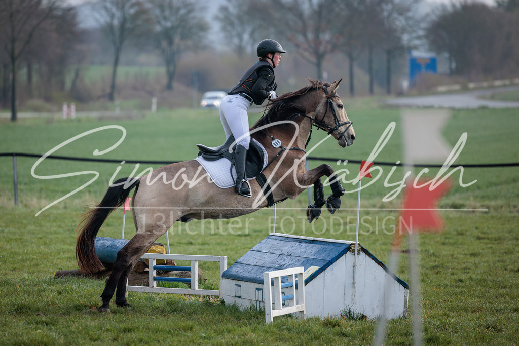 20260329-_3LI3652 | Tierfotografie Pferde, Hunde, Katzen, Haustiere.
Turnierfotografie Reitturniere, Reiten, Springreiten, Dressur in Hanau, dem Main-Kinzig-Kreis und dem Rhein-Main- Gebiet um Frankfurt