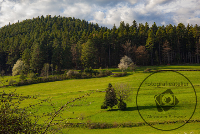 1000281-17042026-181306 | Landschaftsfotos, Naturfotos, Fotos, Fotograf, Landschaftsfotograf, Naturfotograf, professioneller Fotograf