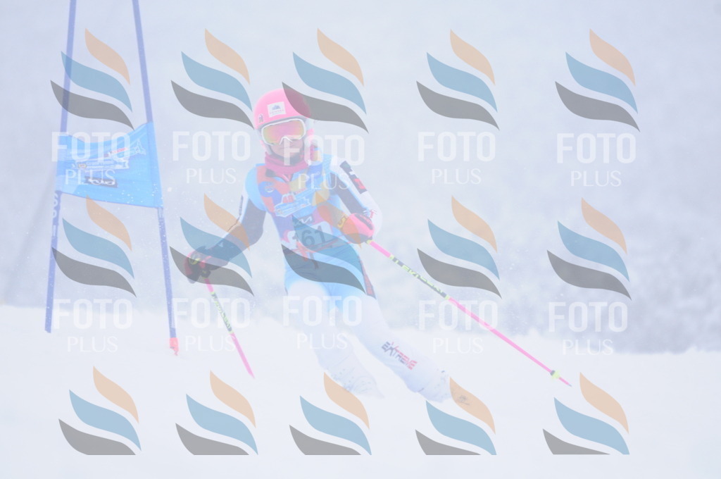 C1902 | holidayphoto