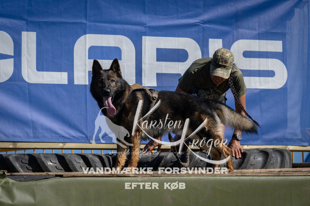 1051_ZZ99295 | kk-dogfotos
