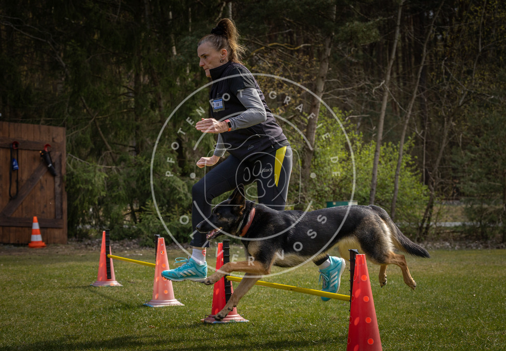 Pfotenfotografie_DV3A3336 | Hundefotografie, Tierfotograf, Pfotenfotografie, Fotoshooting Hund, Hunde Portrait, Hundesport, Hundeportraits, Heideshooting, Hunde, Sportfotograf, Hundefotograf, Turnierhundsport, THS,  - Realisiert mit Pictrs.com
