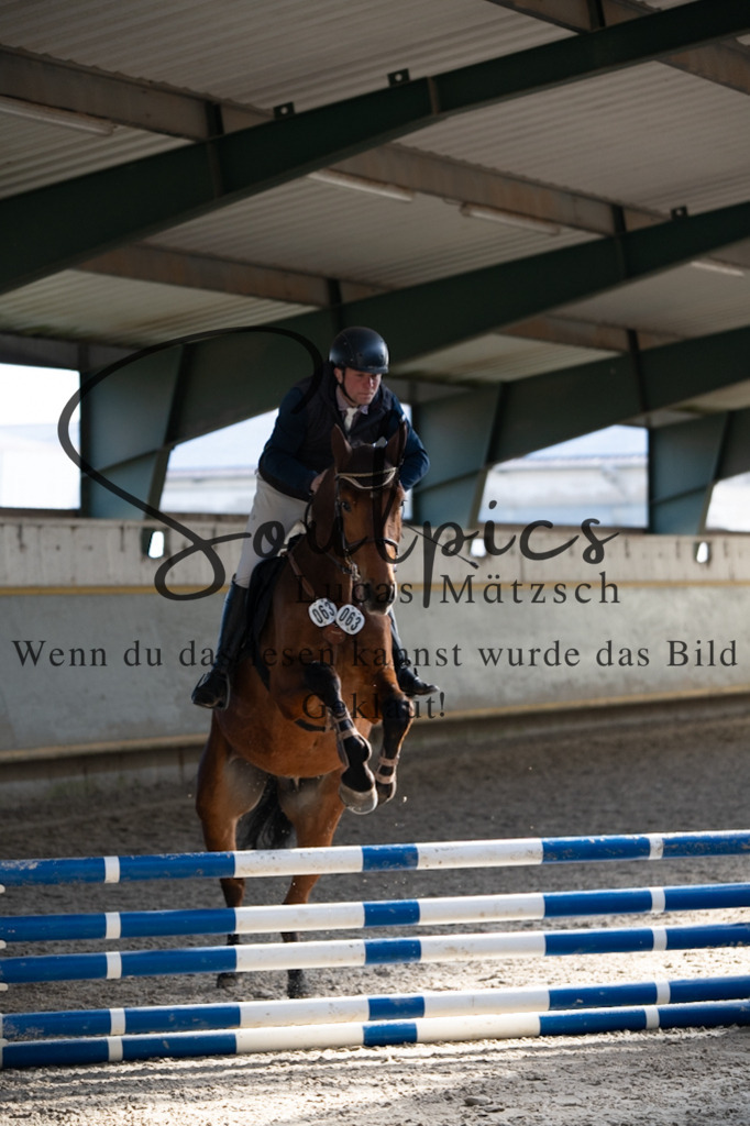 A7V06317 | Pferdefotograf