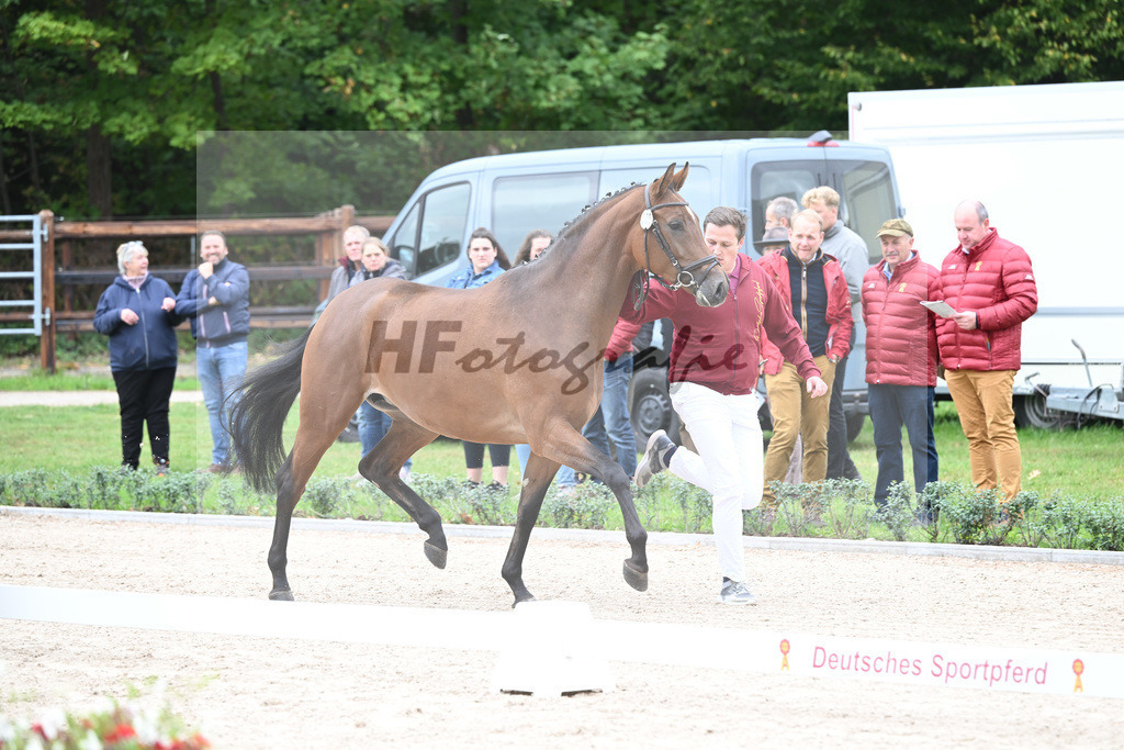 Kat-Nr. 5 Caida_Arzt_49220831 | hf-fotografie - Realisiert mit Pictrs.com