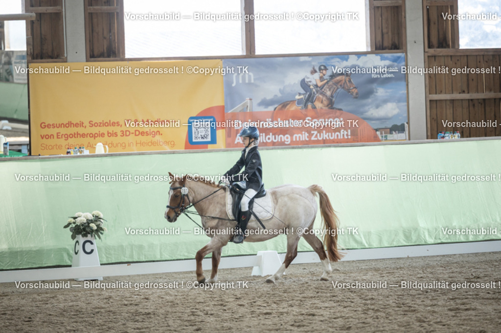 _D5A9072 | Emotionale Pferde- & People-Fotografie rund um Heidelberg, Leimen & Umgebung. Natürliche Fotos von Pferd, Mensch & Familie. Jetzt Termin sichern!