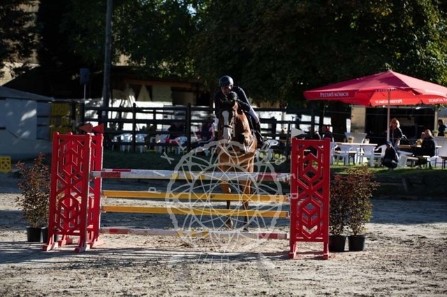 2B4A0768 | pixelfaenger - Realisiert mit Pictrs.com