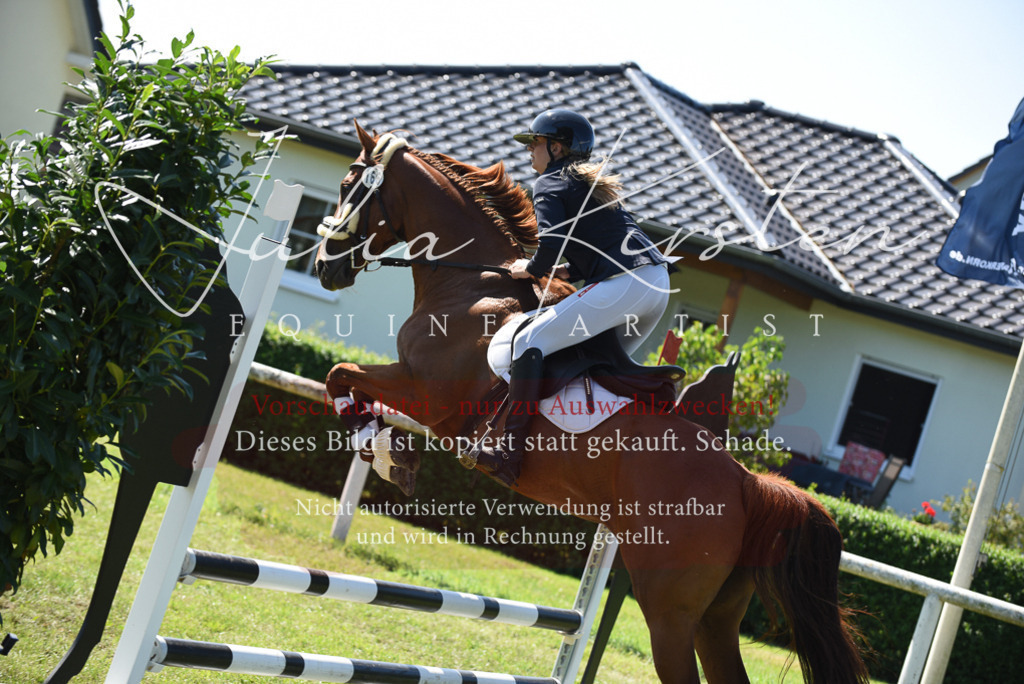 DSC_9352 | Pferde- und Turnierfotografie in Westsachsen. Pferdeportraits, Auftragszeichnungen und intuitive Kunst.