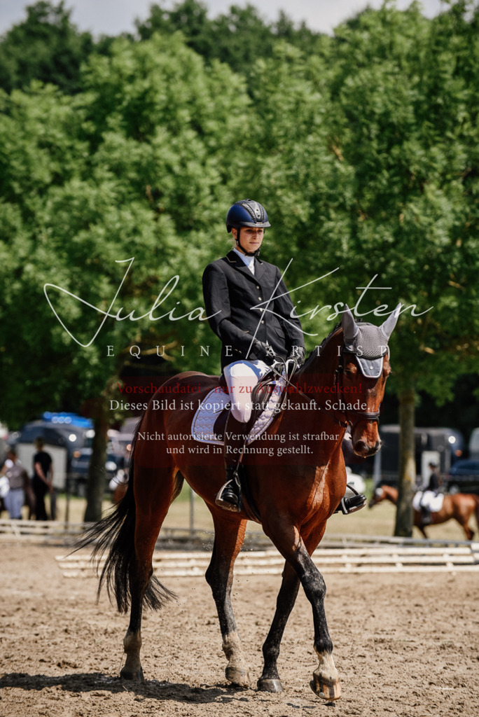 DSC_1137 | Pferde- und Turnierfotografie in Westsachsen. Pferdeportraits, Auftragszeichnungen und intuitive Kunst.