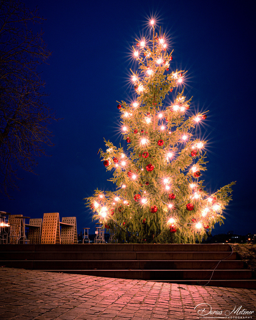 Der Weihnachtsbaum in Mainz-Kastel | Der Weihnachtsbaum in Mainz-Kastel