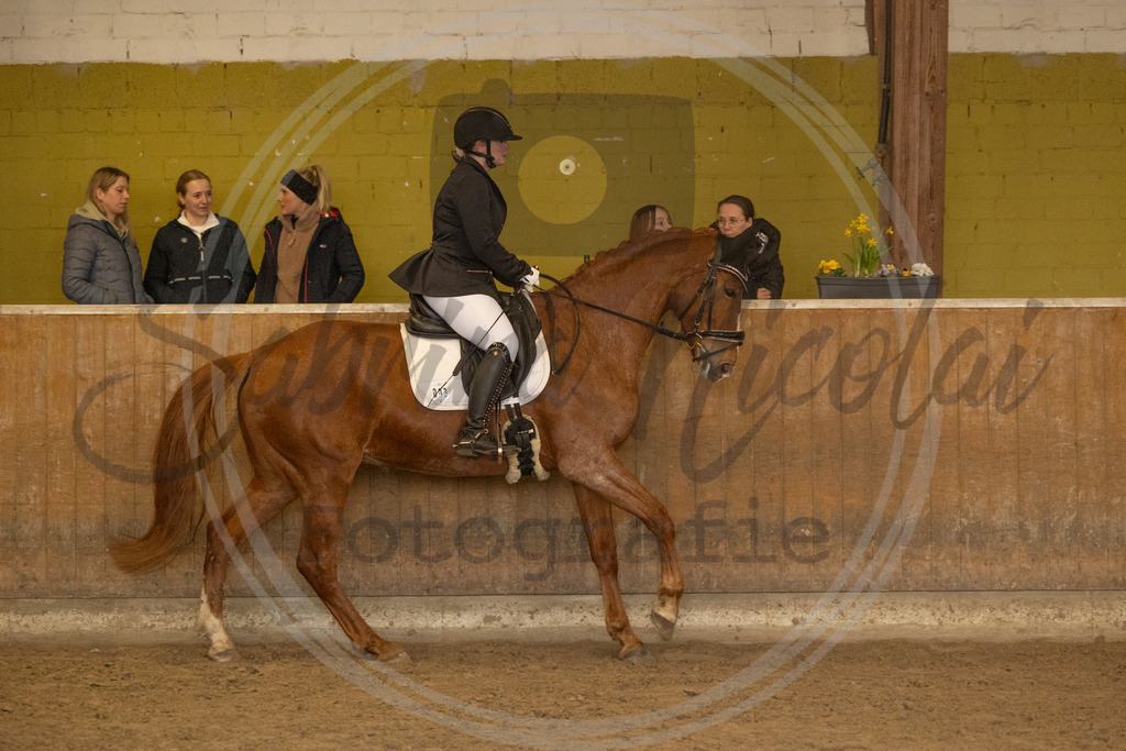 994A9271 | sabrinanicolaifotografie - Realisiert mit Pictrs.com