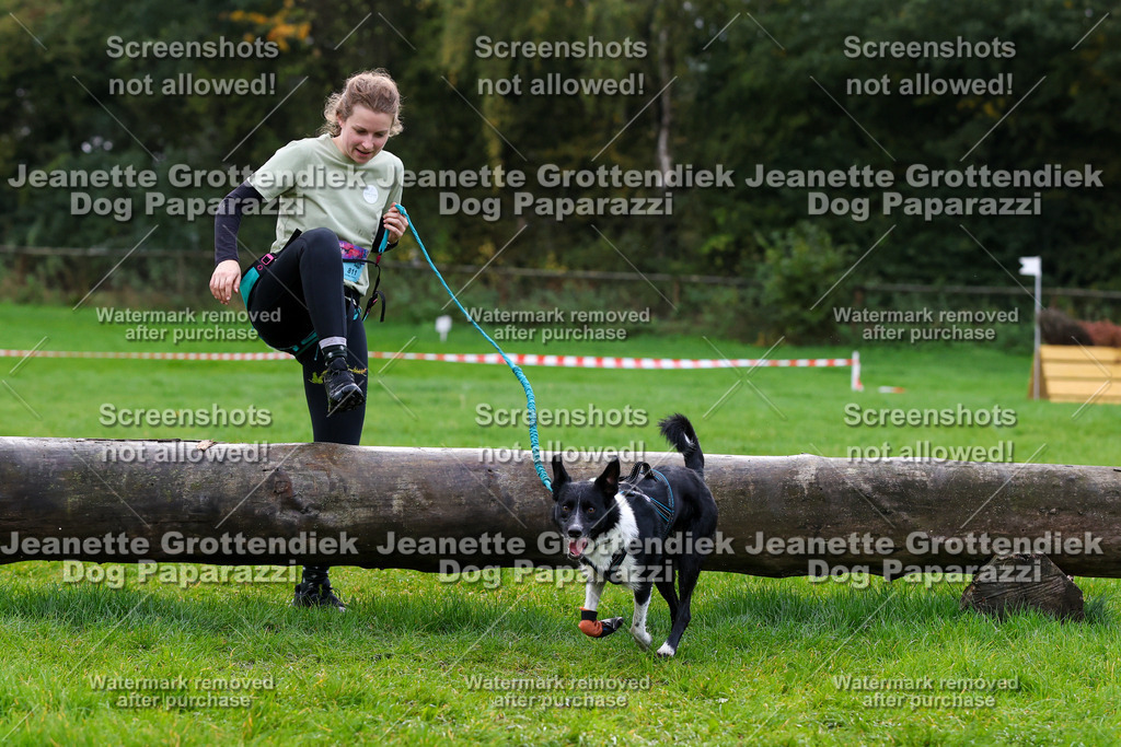 Dog Paparazzi -  SD1026-1251 | Dog Paparazzi Jeanette Grottendiek Fotografie & Videografie - Realisiert mit Pictrs.com