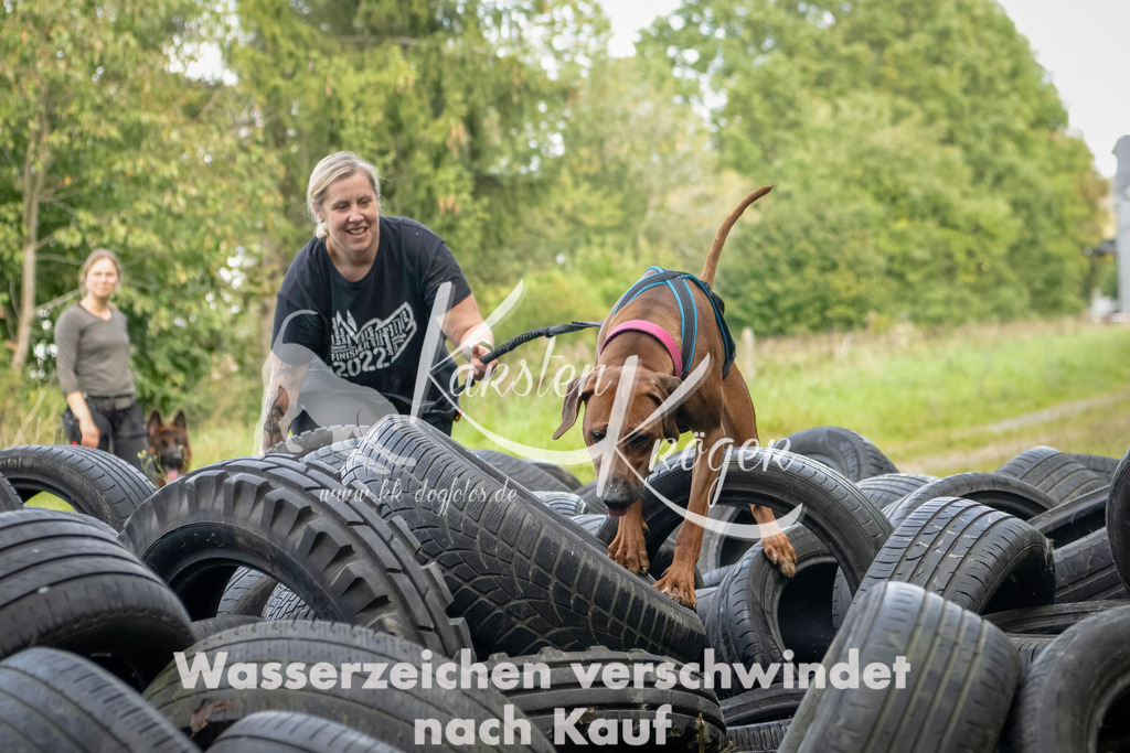 1509_ZZ91238-Bearbeitet | kk-dogfotos