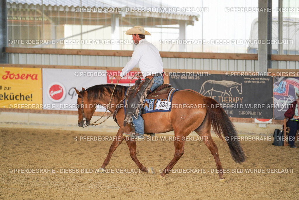 DSC00805 | Pferdegrafie