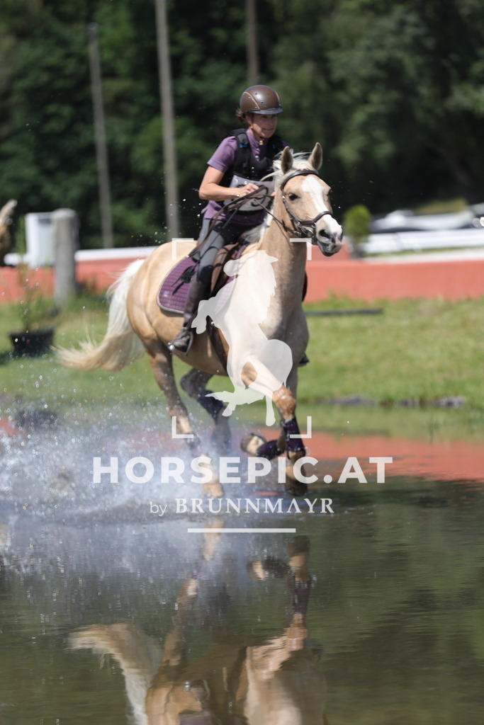 0P6A5190 | Willkommen bei Brunnmayr - Design & Fotografie – Ihrem Spezialisten für Reitturniere und Pferdeveranstaltungen in Oberösterreich, Salzburg und Bayern! Seit über 17 Jahren sind wir leidenschaftlich dabei.