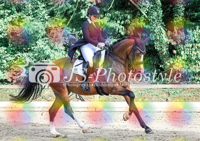 20250726_Dressurprüfung Kl.S Kandare-82 | JS-Photostyle - Sport-/Portrait- & Eventfotografie