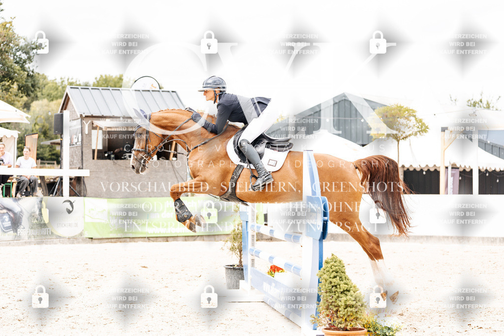 CK909783 | Turnierfotografie Pferdefotografie Trier Rheinland-Pfalz Pferdesport Reitsport Tierfotografie Sportfotografie Pferdevideo Pferdevideografie Equestrianvideography equestrianphotography  - Realisiert mit Pictrs.com