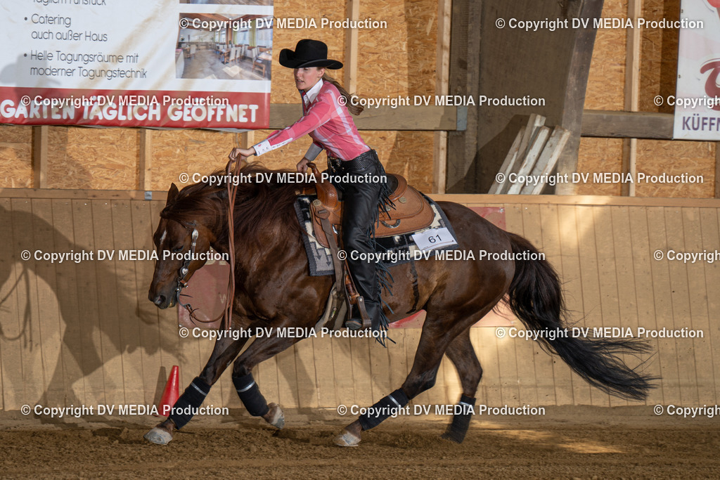 DSC00387 | dv-media-shop - Realisiert mit Pictrs.com