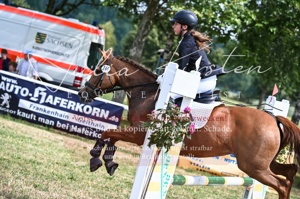 DSC_8583 | Pferde- und Turnierfotografie in Westsachsen. Pferdeportraits, Auftragszeichnungen und intuitive Kunst.