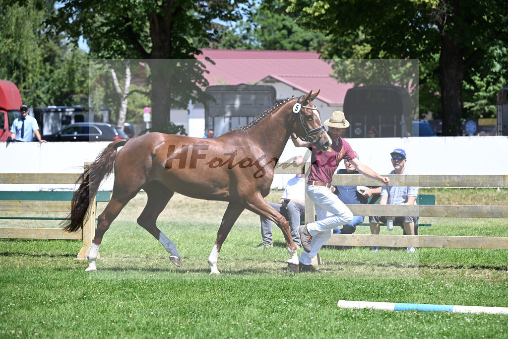 Kat-Nr. 5 Lucille H v. Diro_Haarmann_19250234 | hf-fotografie - Realizzato con Pictrs.com