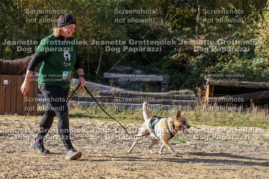 Dog Paparazzi - Strongdog 10-25-5997 | Dog Paparazzi Jeanette Grottendiek Fotografie & Videografie - Realisiert mit Pictrs.com