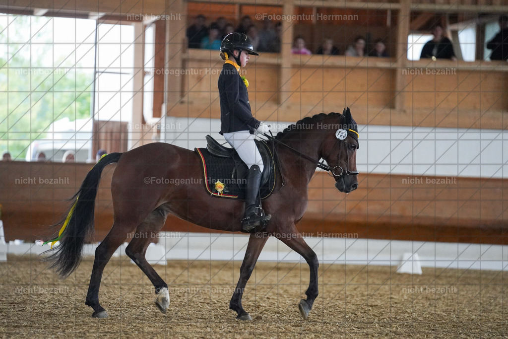 20240825-FAH09249 | Turnierbilder, Reitsportfotos, LAPO, Landesponyturnier, Turnierfotografen Bayern