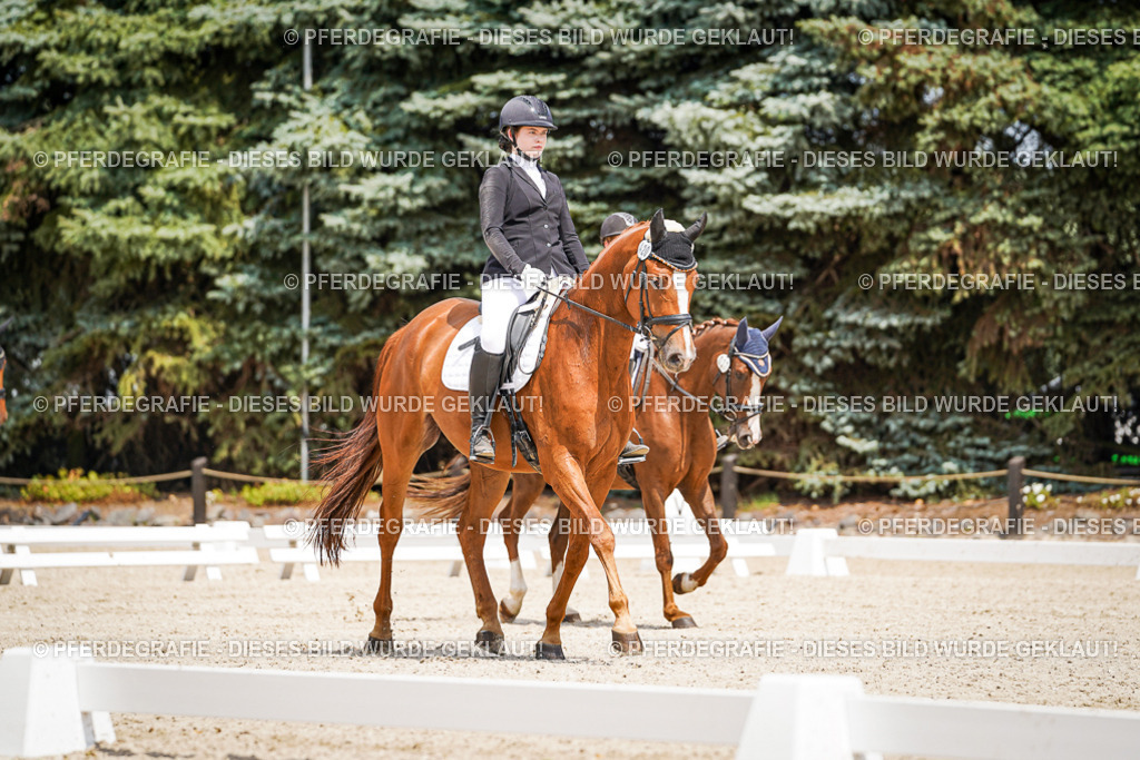 DSC03283 | Pferdegrafie