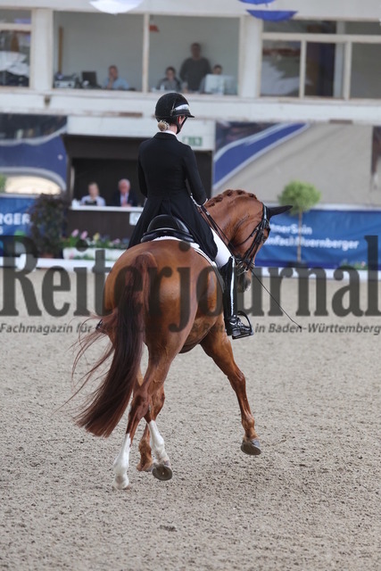 Pforzheim_2024_Prfg.Nr.01_Dressurprfg.Kl.S_GrandPrix_Andrina Suter_Q-Sieben 9 (8) | Alle Fotos der Reiterjournal Fotografin Doris Matthaes im Reiterjournal Online-Fotoshop. - Realisiert mit Pictrs.com