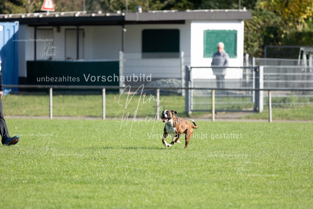 _16A5063 | Einzigartige Fotos von Hunden & Menschen –Actionfotos, Portraits, Vereinsaufnahmen & Paarshootings – authentisch, lebendig & mit Herz.