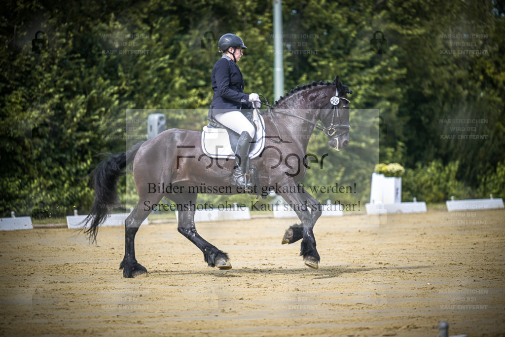 DOS_5019 | Entdecke hochwertige Reitturnierfotos von Foto Oger. Professionell, emotional und authentisch – jetzt Lieblingsmomente im Shop bestellen. - Realisiert mit Pictrs.com