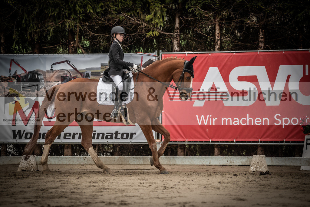 DSC_0215 | equestrian-live-com