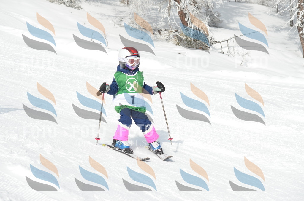 D8451 | holidayphoto