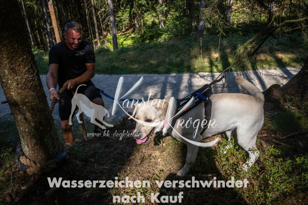 1126_ZZ90588 | kk-dogfotos