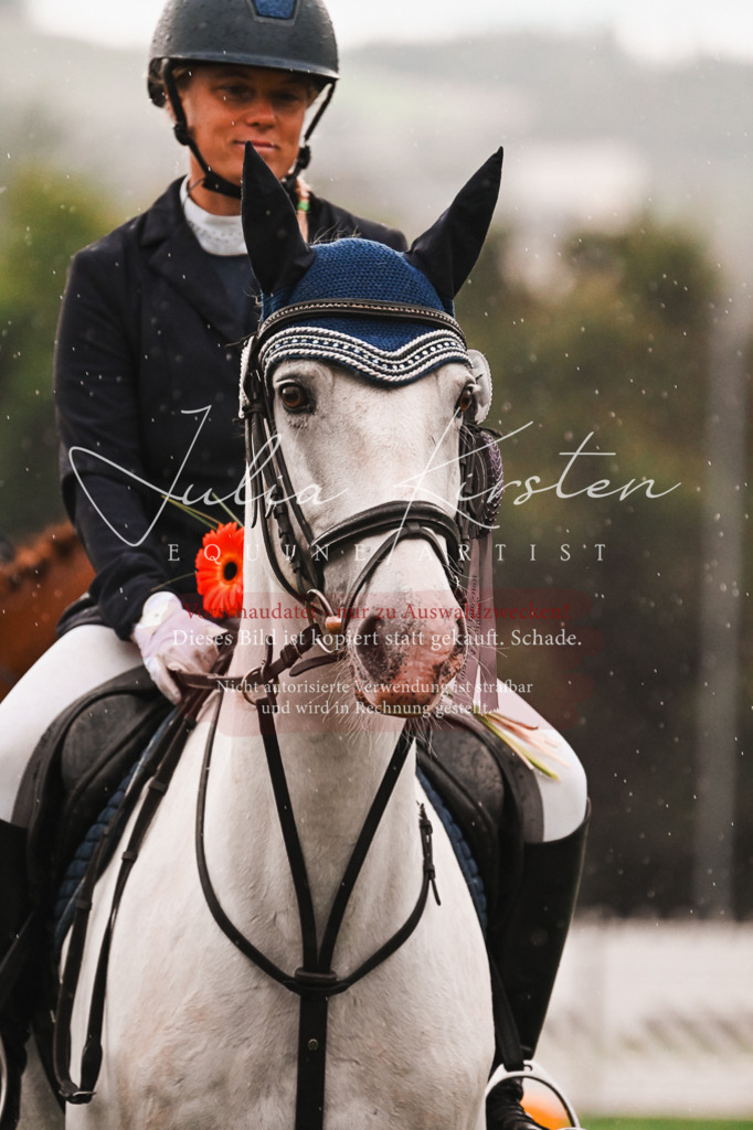 DSC_6208 | Pferde- und Turnierfotografie in Westsachsen. Pferdeportraits, Auftragszeichnungen und intuitive Kunst.