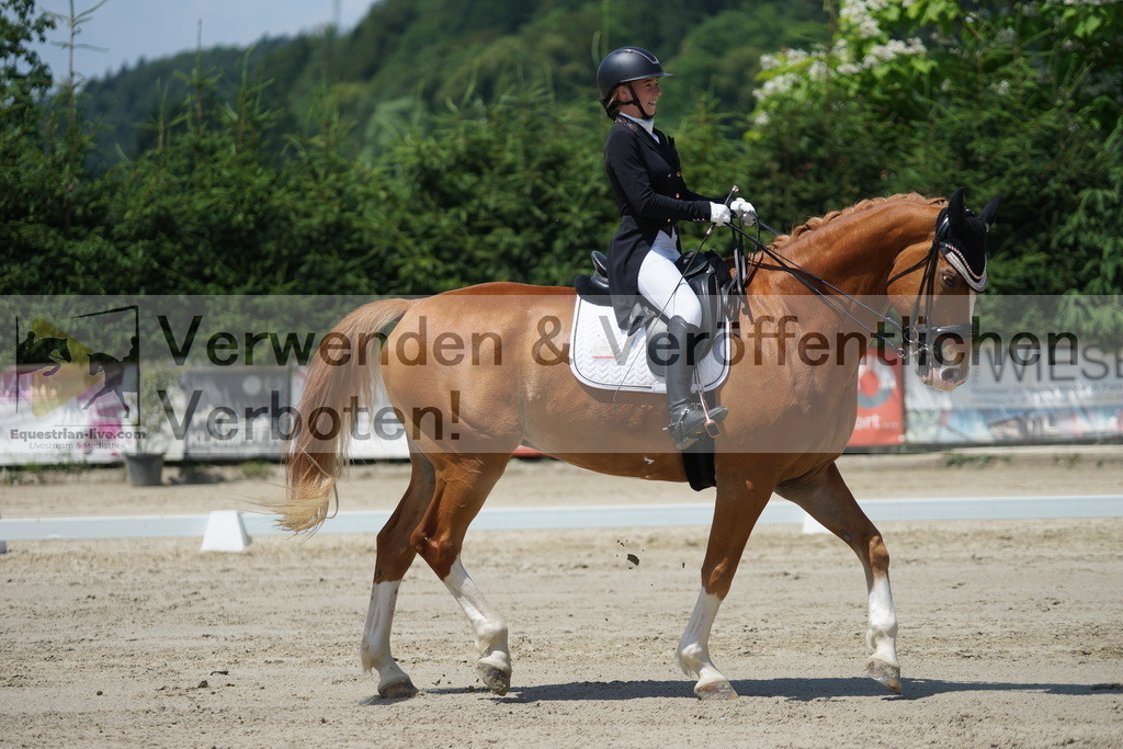 DSC05013 | equestrian-live-com