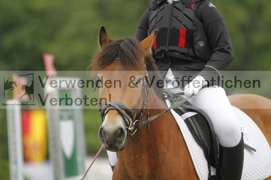 _MG_4372 | equestrian-live-com