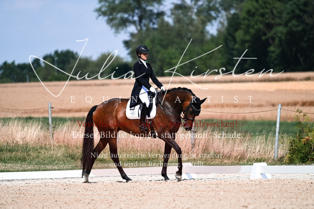 DSC_3068 | Pferde- und Turnierfotografie in Westsachsen. Pferdeportraits, Auftragszeichnungen und intuitive Kunst.