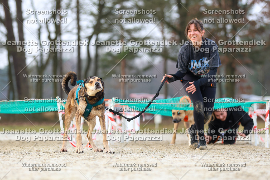 Dog Paparazzi - Strongdog North Mrz26-3791 | Dog Paparazzi Jeanette Grottendiek Fotografie & Videografie - Realisiert mit Pictrs.com