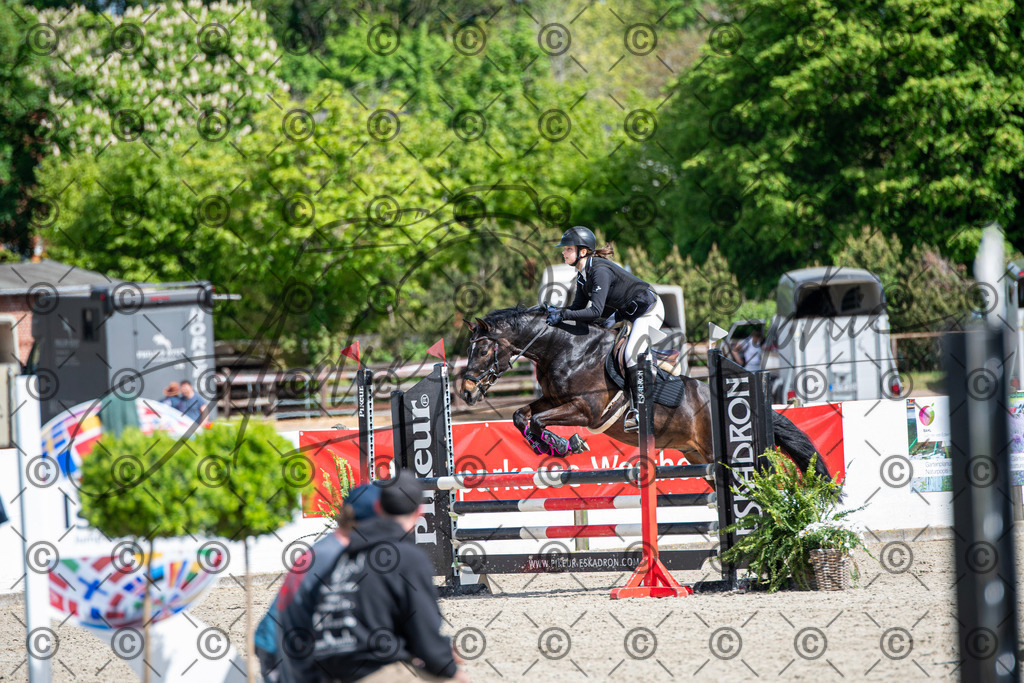 KPT_4960 | andre_photographic