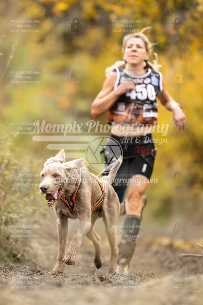 MompixPhotography_ICF_WC_2024_SA_Run_-461 | PayLife