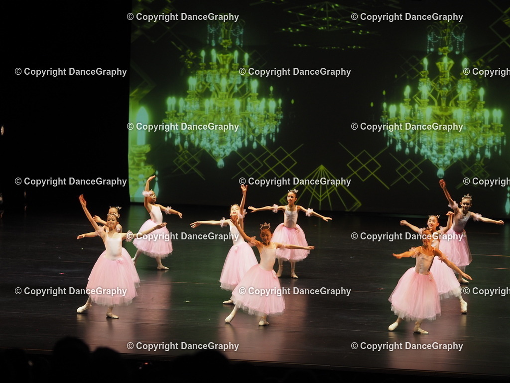 P7260415 | DanceGraphy - Realisiert mit Pictrs.com