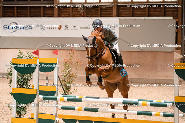 Springen Tag 1-252 | dv-media-shop - Realisiert mit Pictrs.com