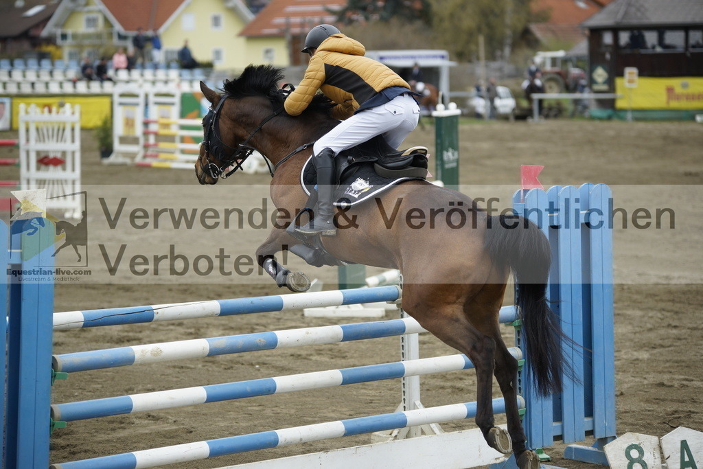 _DSC7354 | equestrian-live-com
