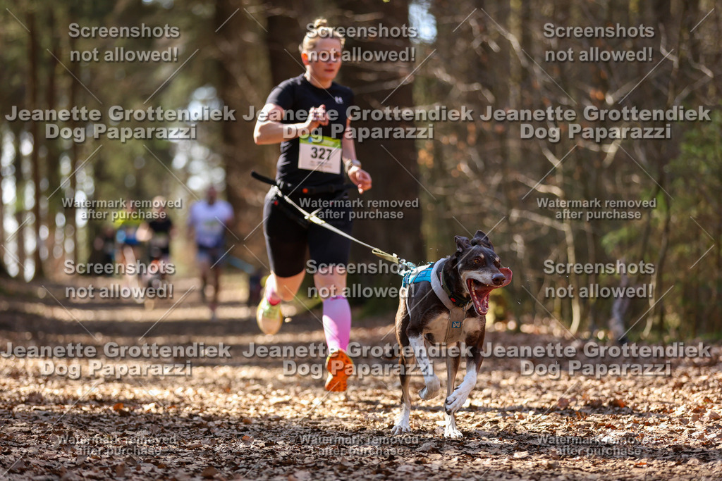 Dog Paparazzi - VCC26-1284 | Dog Paparazzi Jeanette Grottendiek Fotografie & Videografie - Realisiert mit Pictrs.com