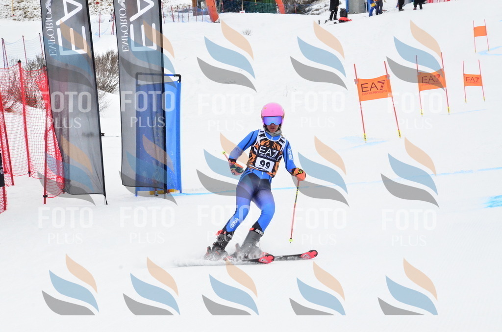 _ELE3536 | holidayphoto